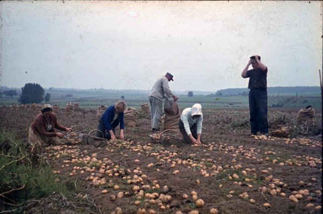 Dorf 1963