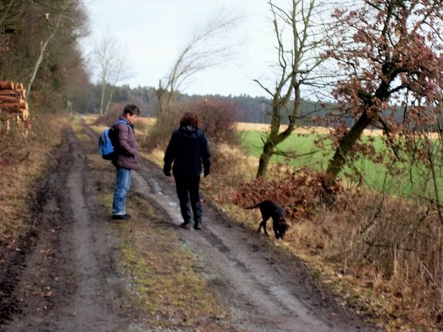 Grünkohl- wanderung 2012