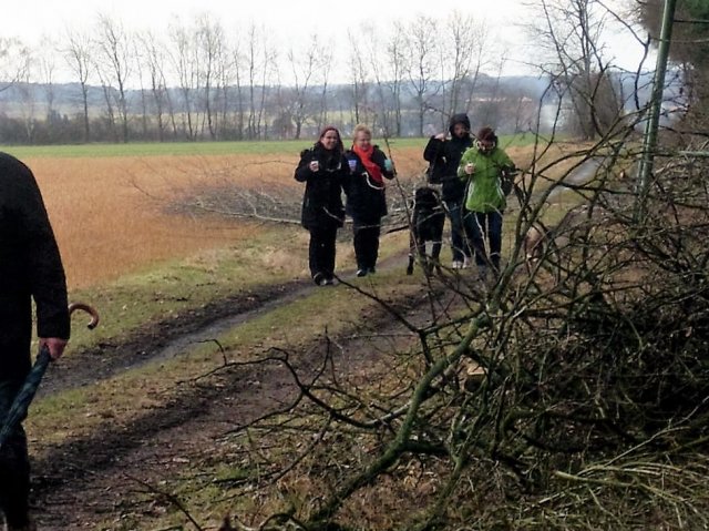 Grünkohl- wanderung 2012