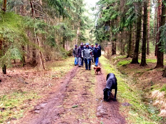 Grünkohl- wanderung 2012