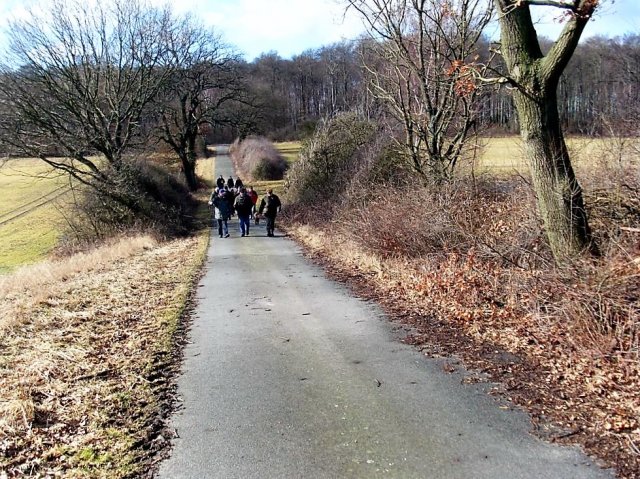 Grünkohl- wanderung 2012