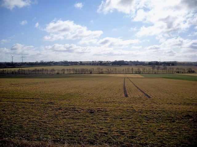 Grünkohl- wanderung 2012