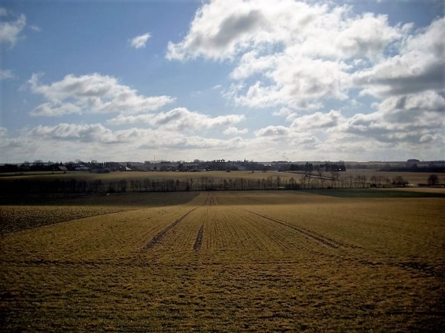 Grünkohl- wanderung 2012